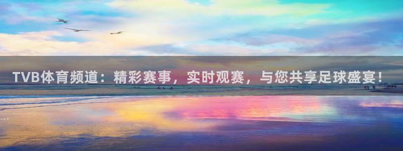 TVB体育频道：精彩赛事，实时观赛，与您共享足球盛宴！