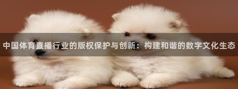 中国体育直播行业的版权保护与创新：构建和谐的数字文化生态