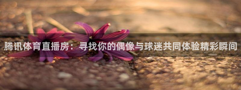 腾讯体育直播房：寻找你的偶像与球迷共同体验精彩瞬间