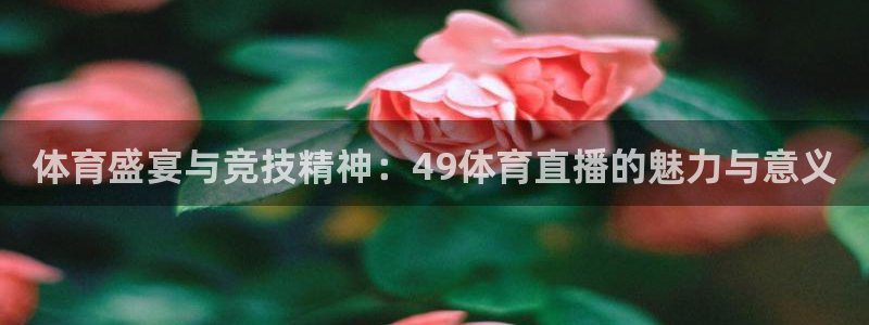 体育盛宴与竞技精神：49体育直播的魅力与意义