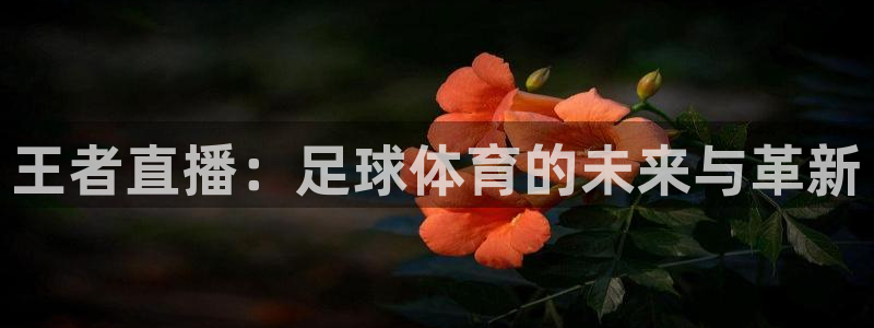 王者直播：足球体育的未来与革新