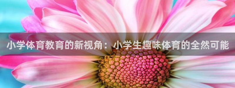 小学体育教育的新视角：小学生趣味体育的全然可能