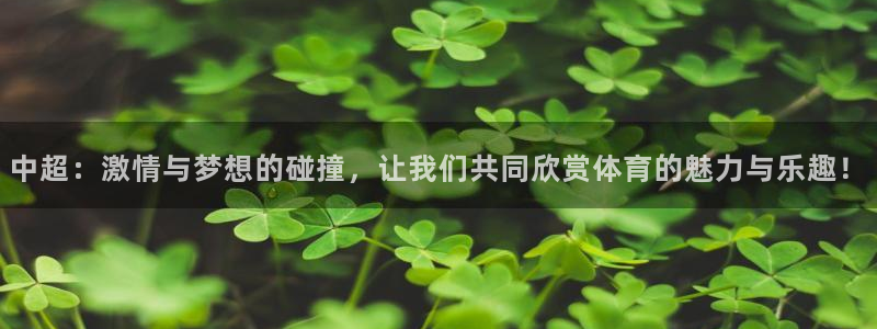 中超：激情与梦想的碰撞，让我们共同欣赏体育的魅力与乐趣！