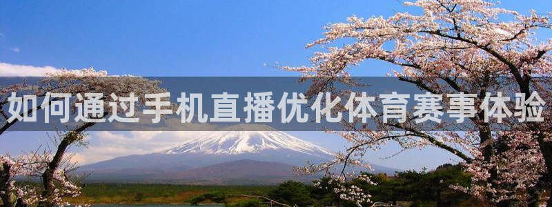 如何通过手机直播优化体育赛事体验