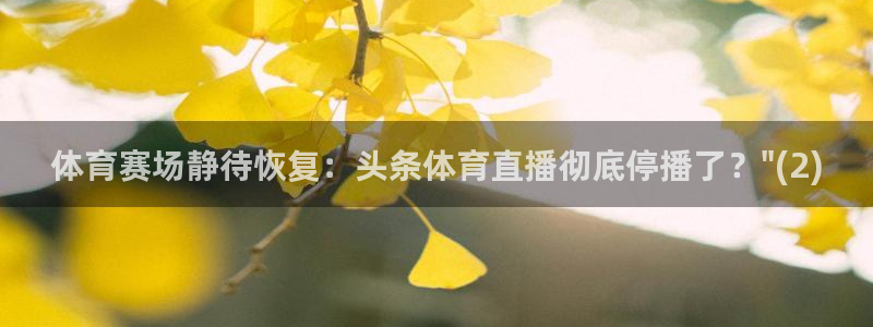 体育赛场静待恢复：头条体育直播彻底停播了？\