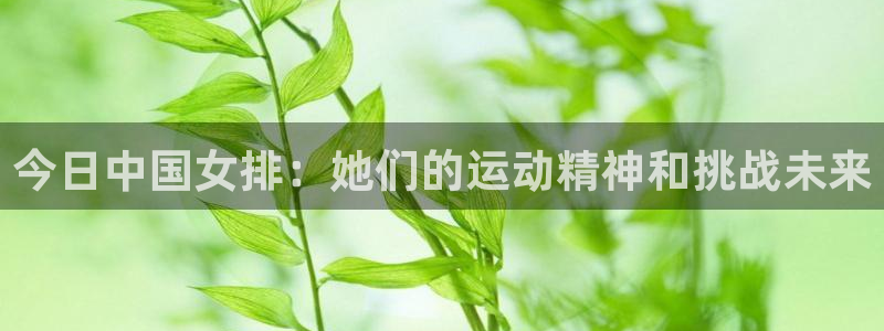 今日中国女排：她们的运动精神和挑战未来