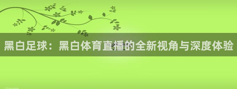 黑白足球：黑白体育直播的全新视角与深度体验