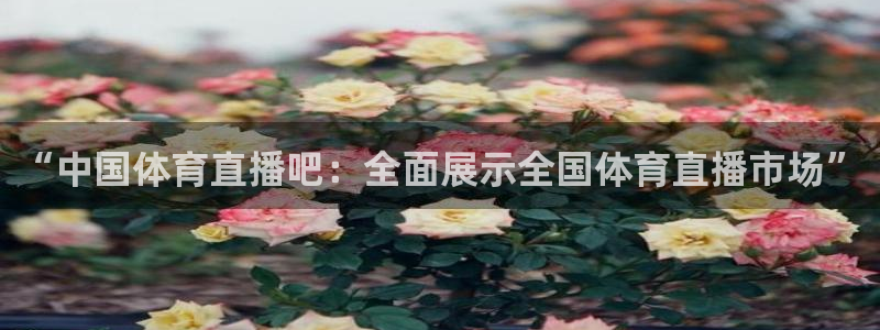 “中国体育直播吧：全面展示全国体育直播市场”