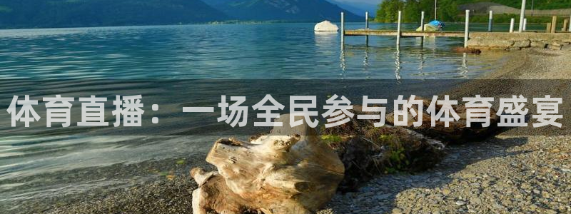 体育直播：一场全民参与的体育盛宴