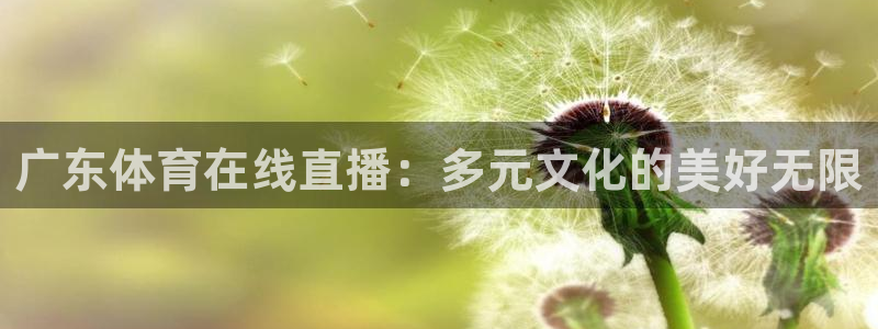 广东体育在线直播：多元文化的美好无限