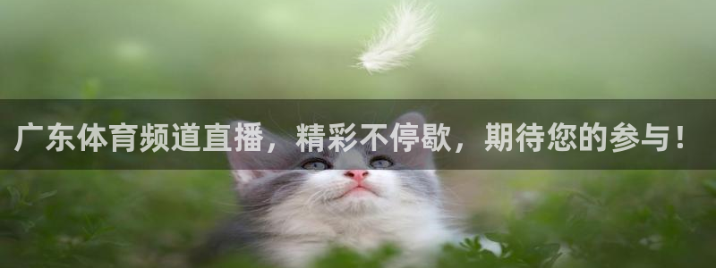 广东体育频道直播，精彩不停歇，期待您的参与！