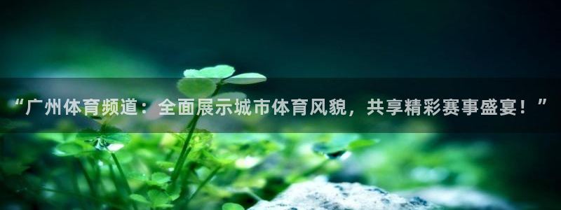 “广州体育频道：全面展示城市体育风貌，共享精彩赛事盛宴！”