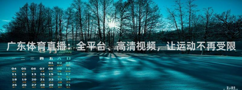 广东体育直播：全平台、高清视频，让运动不再受限
