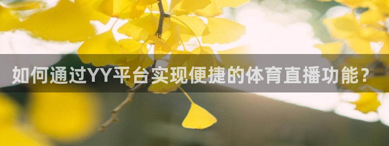 如何通过YY平台实现便捷的体育直播功能？