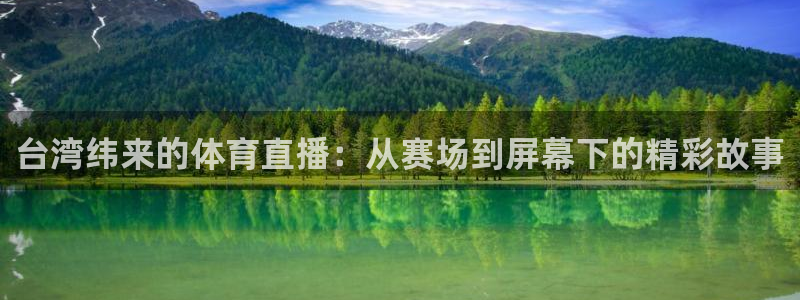 台湾纬来的体育直播：从赛场到屏幕下的精彩故事