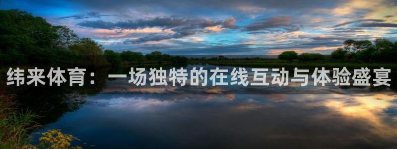 纬来体育：一场独特的在线互动与体验盛宴