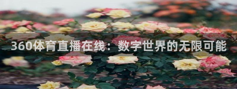 360体育直播在线：数字世界的无限可能