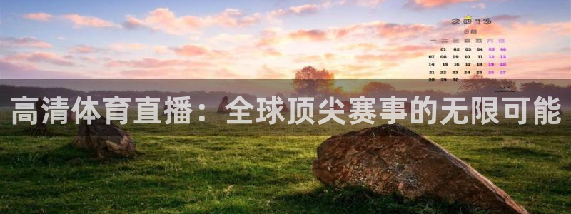 高清体育直播：全球顶尖赛事的无限可能