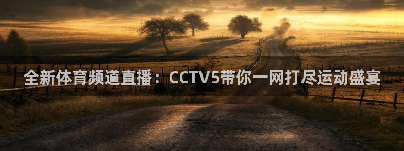 全新体育频道直播：CCTV5带你一网打尽运动盛宴