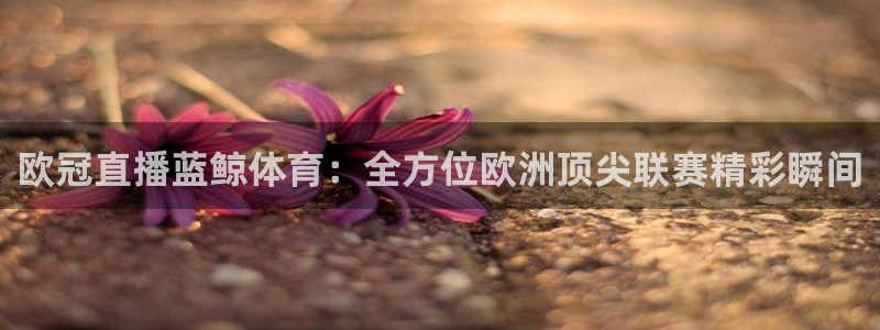 欧冠直播蓝鲸体育：全方位欧洲顶尖联赛精彩瞬间